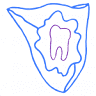 Vílchez Clínica Dental
