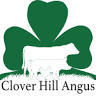Clover Hill Angus