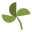 Cloverleaf Dental Center