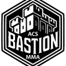 Club de lupta Shaolin Spirit Timisoara - MMA, grappling, kickbox