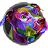Clube De Jiu Jitsu Pitbull IB