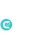 COASTWIDE MINI EXCAVATIONS