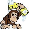 Coastal Car Wash of Monkey Junction