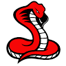 Cobra Transmissions