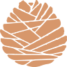 Cocoon Acupuncture