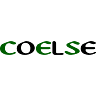 COELSE Comercial Eléctrica de Sevilla S.L.