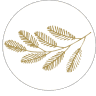 Coffee Artista European Cafe