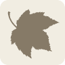 Cohen Group