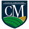 Escuela Mesopotamia