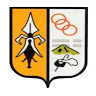 Colegio Divina Pastora insano