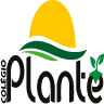 COLLEGE PLANT - incomparable Education