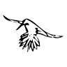 Colibrí