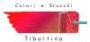 Colori & Stucchi Tiburtina Srl