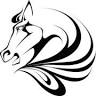 The Colts Neck Agency