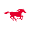 Mustang Jeans