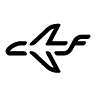 Executive Compass Flight Institute