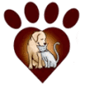 Compassion Vet Hospital