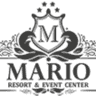 Hotel Mario Moinesti