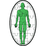 Comprehensive Physical Therapy Solutions, P.L.L.C.