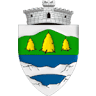 Primăria Cărbunari