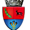 Primăria Pișchia