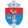 Hall Vatra Moldovitei