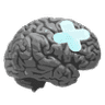 The Concussion Centre
