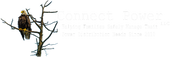 Connect Power - Dock & Residential Electrical Services