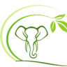 Conserve Natural Forest