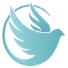 Consilium Financial