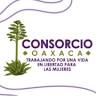 Consorcio Para el Diálogo Parlamentario y Equidad, Oaxaca
