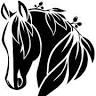 Coolabah Equine