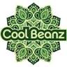 Cool Beanz- Rock Island