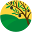 Coop Agrícola Del Santo Cristo Del Arco Toral