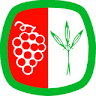 SANTÍSIMO CRISTO DE LA SALUD SOC. COOP. CLM.