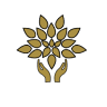 cooperative funeraire de la rive nord