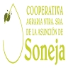 Cooperativa Agrícola Nuestra Señora de la Asunción Coop V