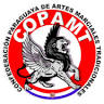 Instituto Wing Chun Kung fu