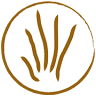 Coppicewood college