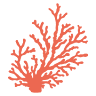 Coral Memorial