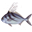 Papagayo SportFishing