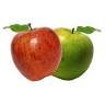 Coston Farm & Apple House