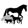 Cottonwood Veterinary Clinic