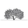 Countryside Estates Nursing
