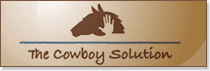Cowboy Solution