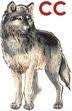 Coyote Chemical Company