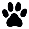 Cranbury dog park