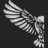 Creative Owl Print and Promo