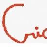 Criarte Children School