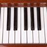 Terry Cruce Piano Tuning
